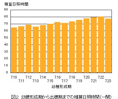 �ώZ���Ǝ���