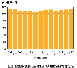 �ώZ���Ǝ���