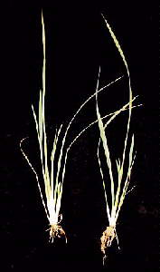 ��`��(14KB)