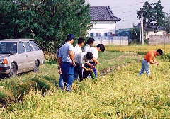 ���j�^�[�𗬉�(43KB)