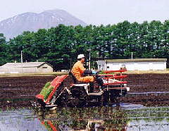 ������̋@�B�ڐA(33KB)