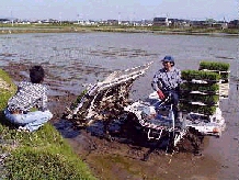 �E����ɂ��Ȃ��c�A�����