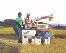 ���n����ҏW��