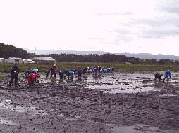 ��N���l�J���̎�A��