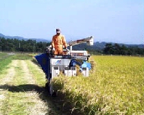 �����ޏ�̈��i��