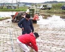 ������ݒ�