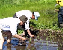 �y�̉�����������Ȃ���I