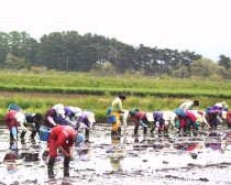 �a�₩�ȓc�A��