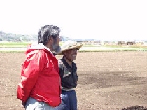 ���ѕ�������