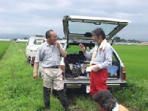 �߉��̃��j�^�[��