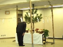 ���n���Ӎ�