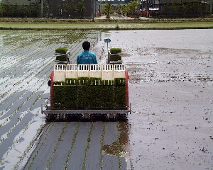 �������ʂ͔@����