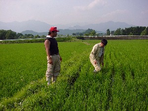 �c��͂�����