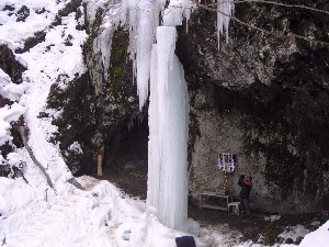 �S�N�Ԃ�ɑ��������낵��