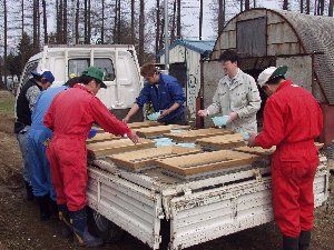 ���悢���܂�