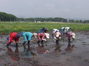 ��A���ő呛��