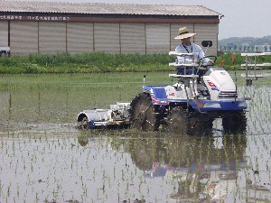 �������ʂ͔@����