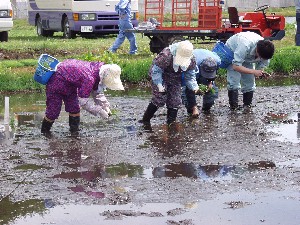 ��A���ő呛��