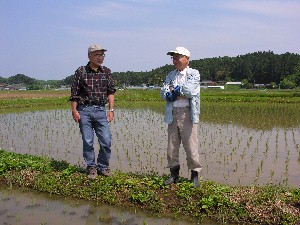 ���ꂩ��̓V��́H