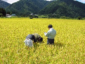 �o���͂ǂ����ȁH