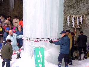 �v���Ԃ�̑���