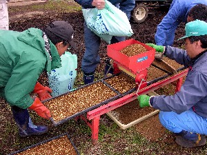 �傫���Ȃꂥ�B