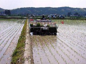 �c�A�����I��