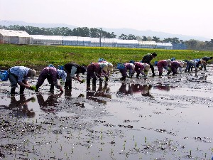 �����A�A���邼�B