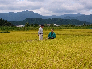 �o���͂ǂ����ȁH