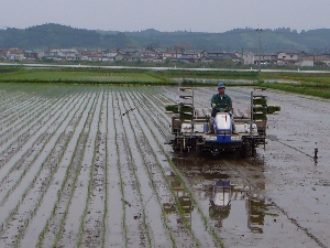 �҂����ł�