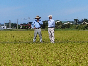 ������ƕ��������̂ł����ǁE�E�E