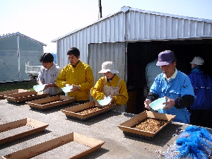 ������܂�����