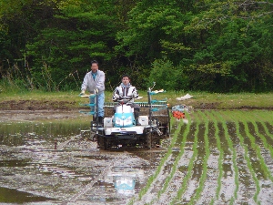 ���N���n�܂�܂�