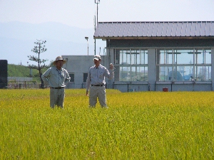 �ǂ��ł����˂�