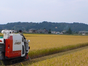 �Z�����A�Z����