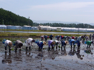 ��A���ɂ͐l�����K�v�ł��B