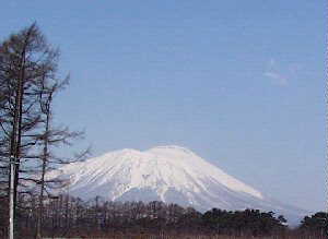 �Ȃ��ᑽ�����R