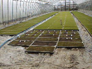 �Ί����j�^�[�̈�c���i