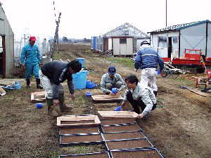 ����E�앿�f�f������̔d��