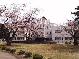 ����̍����炢��