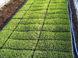 �c�̐���͏���