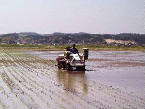 ���R�����j�^�[�c�A��