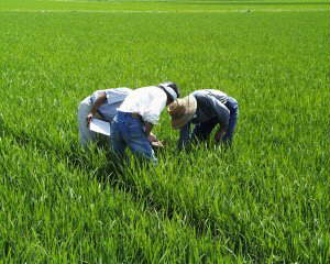 ���璲���F�ǂ����p���I