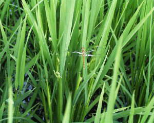 �����͂����o����n�߂�