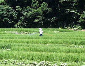 ���O�̂������h��