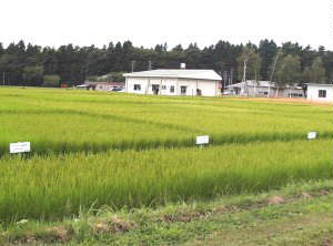 �܂�Ԃ��n�_�ɓ��B����