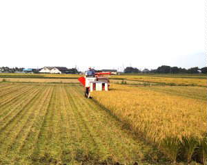 ���n�߂�i�߉����j�^�[�j