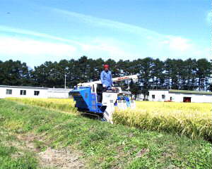 ������{�i������