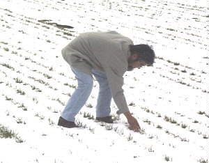 ���j�^�[�̔��̏o���́H