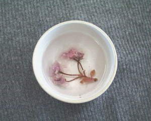 ���ꂵ���t�̕ւ�